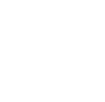 Stevie Awards Silver