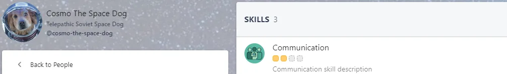 Screenshot from the StaffCircle platform: Add a Skill