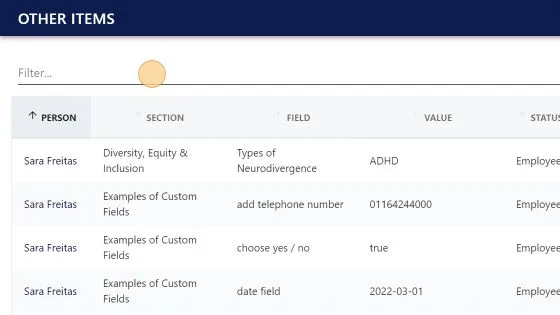 Screenshot from the StaffCircle platform: Can I report on custom fields?