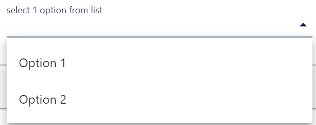 Screenshot from the StaffCircle platform: Custom Fields: Data Types