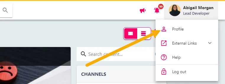 Screenshot from the StaffCircle platform: How can I view my timeline?