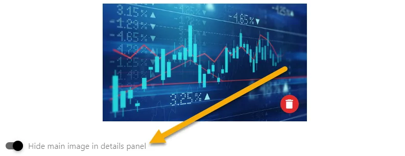 Screenshot from the StaffCircle platform: What effect does the 'Hide main image in details panel' toggle have?