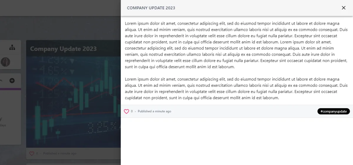 Screenshot from the StaffCircle platform: What effect does the 'Hide main image in details panel' toggle have?