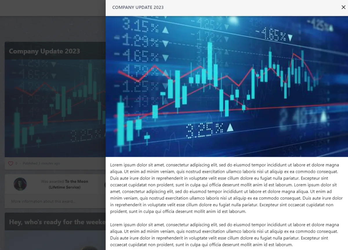 Screenshot from the StaffCircle platform: What effect does the 'Hide main image in details panel' toggle have?