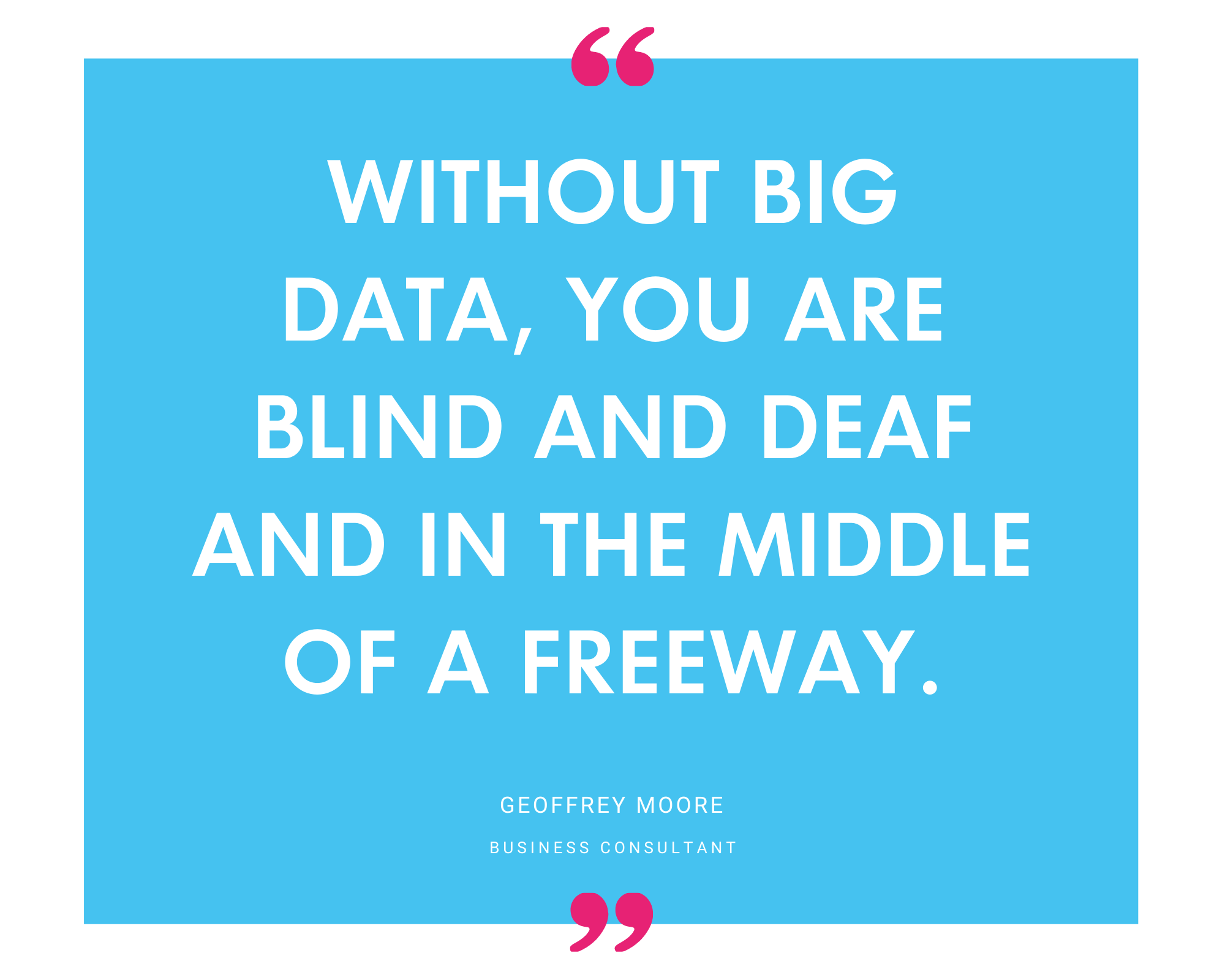 Geoffrey Moore on being blind and deaf in the middle of a freeway without big data