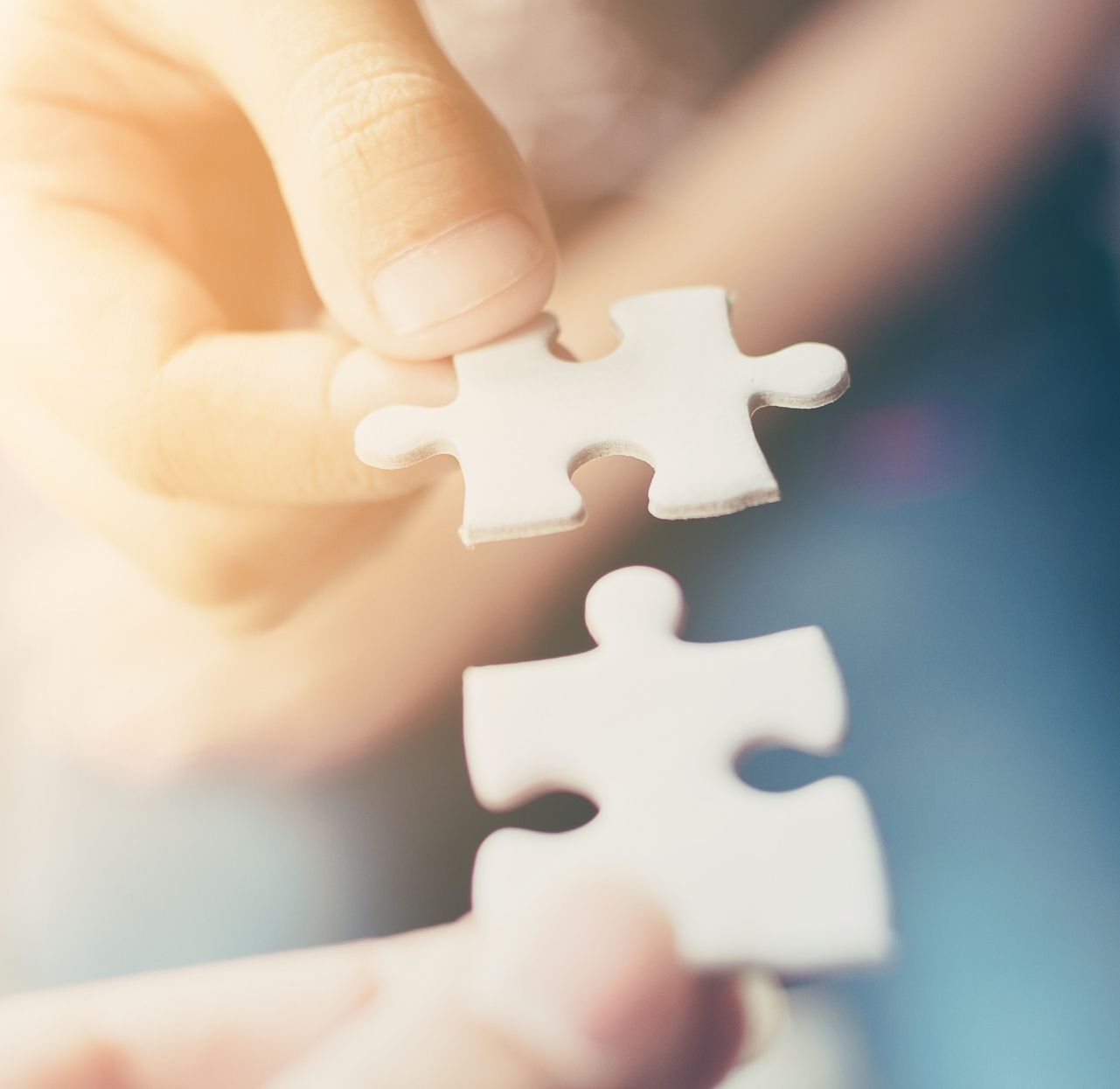 Partnership jigsaw