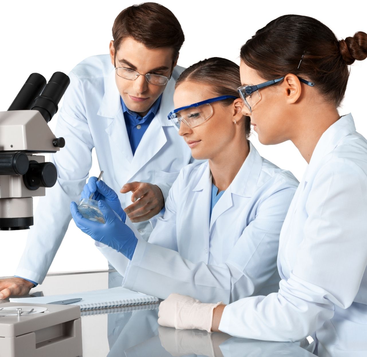 Pharma and Biotech