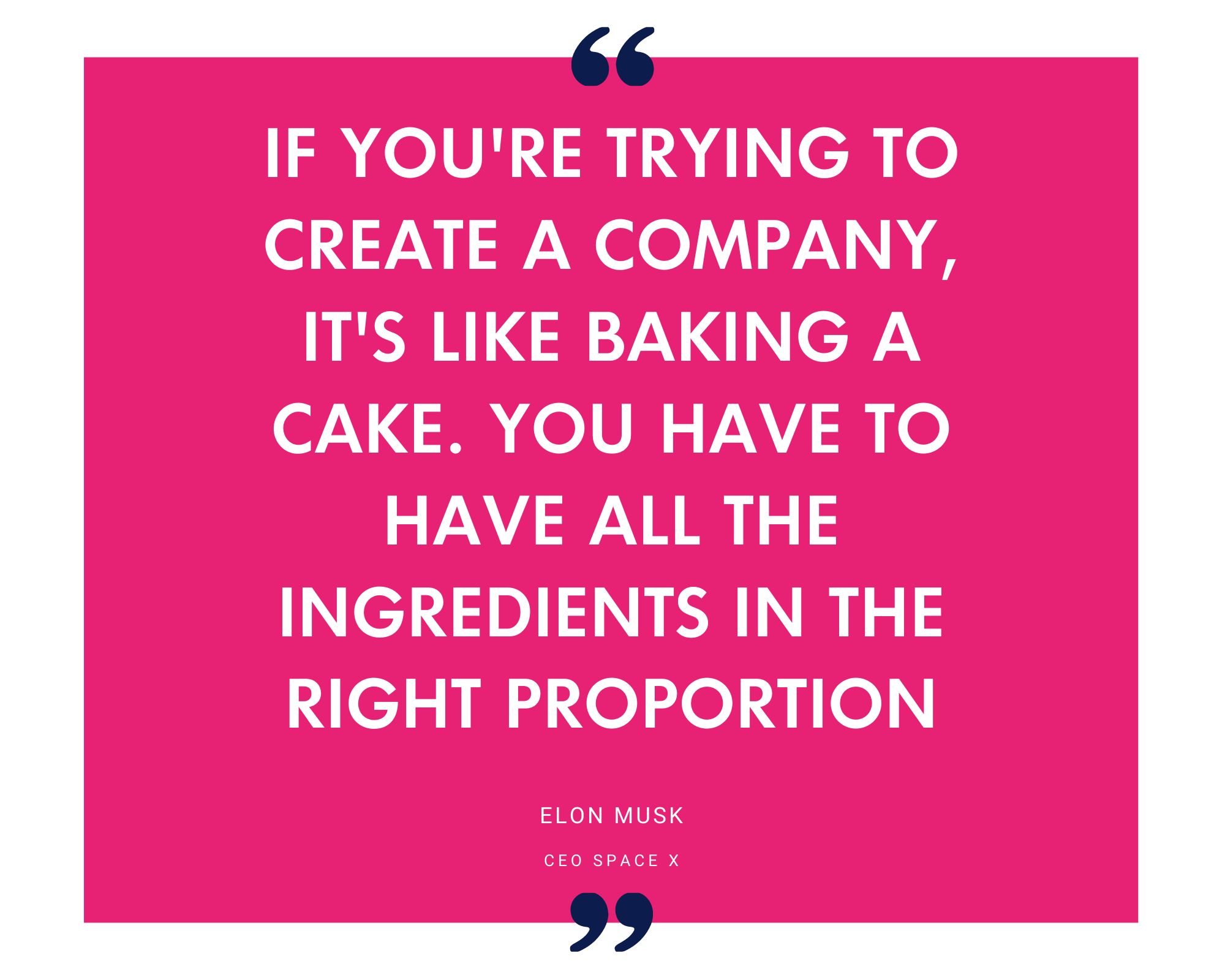 Elon Musk comparing building a company to baking a cake, needing every ingredient in proportion