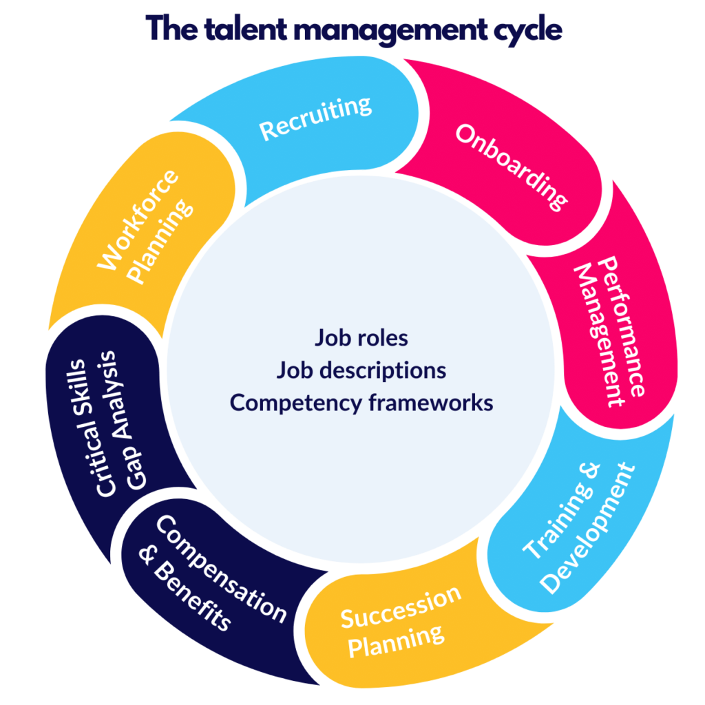 The talent management cycle: recruiting, onboarding, performance, training, succession, pay and workforce planning