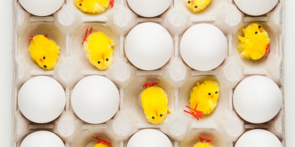 Toy chicks among eggs in a tray, playing on the chicken-and-egg question of engagement and performance