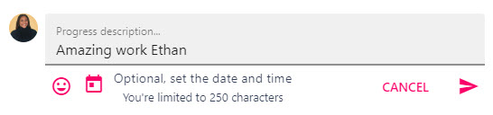 The progress description field and paper aeroplane icon used to save a comment