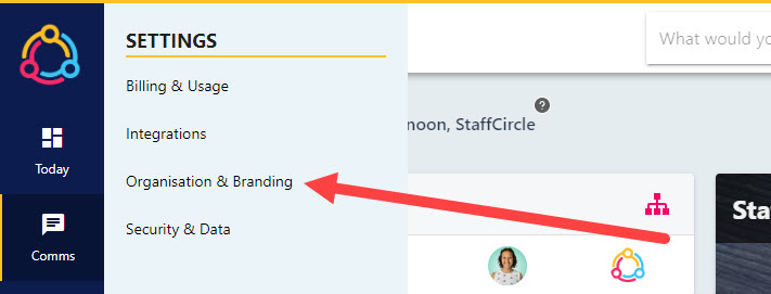 The settings wheel and the Organisation and Branding option in the sub-menu