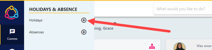 The plus button beside Holidays, opening the New Request drawer