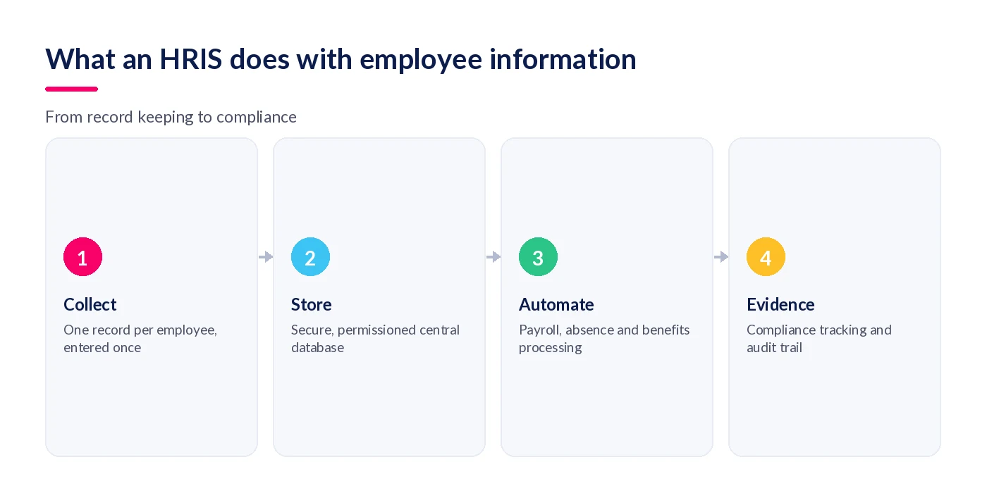 How an HRIS handles employee information: collect, store, automate, evidence