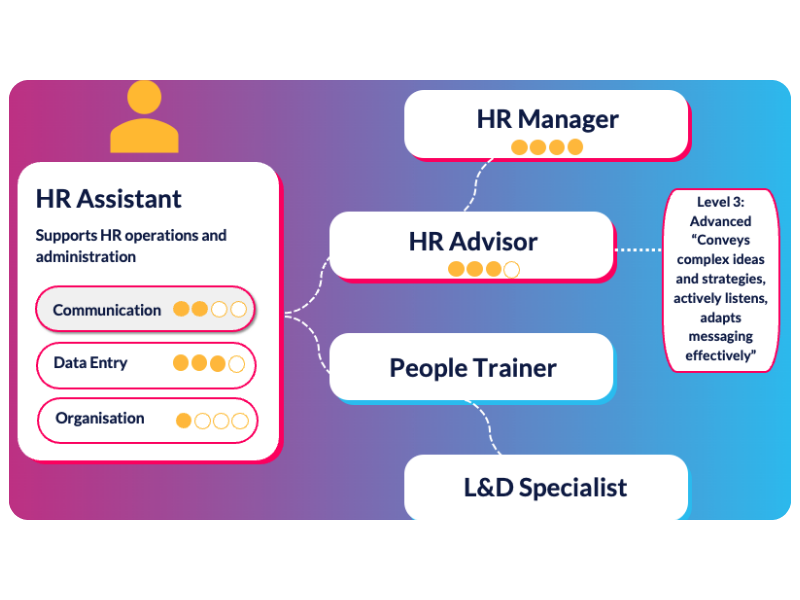 Role profile for an HR assistant with rated skills and onward pathways to advisor, trainer and manager roles
