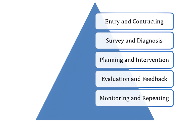 5 Stages of Organisational Development
