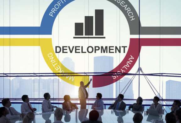 organisational development