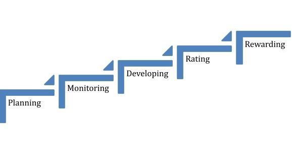 5 Stages of the Performance Management Cycle