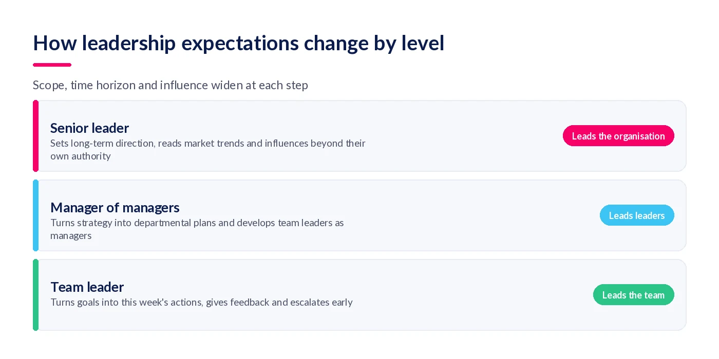 Three levels of leadership: team leader leads the team, manager of managers leads leaders, senior leader leads the organisation, each with a one-line description